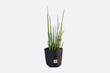 Carhartt WIP Groundworks Planter Set Black