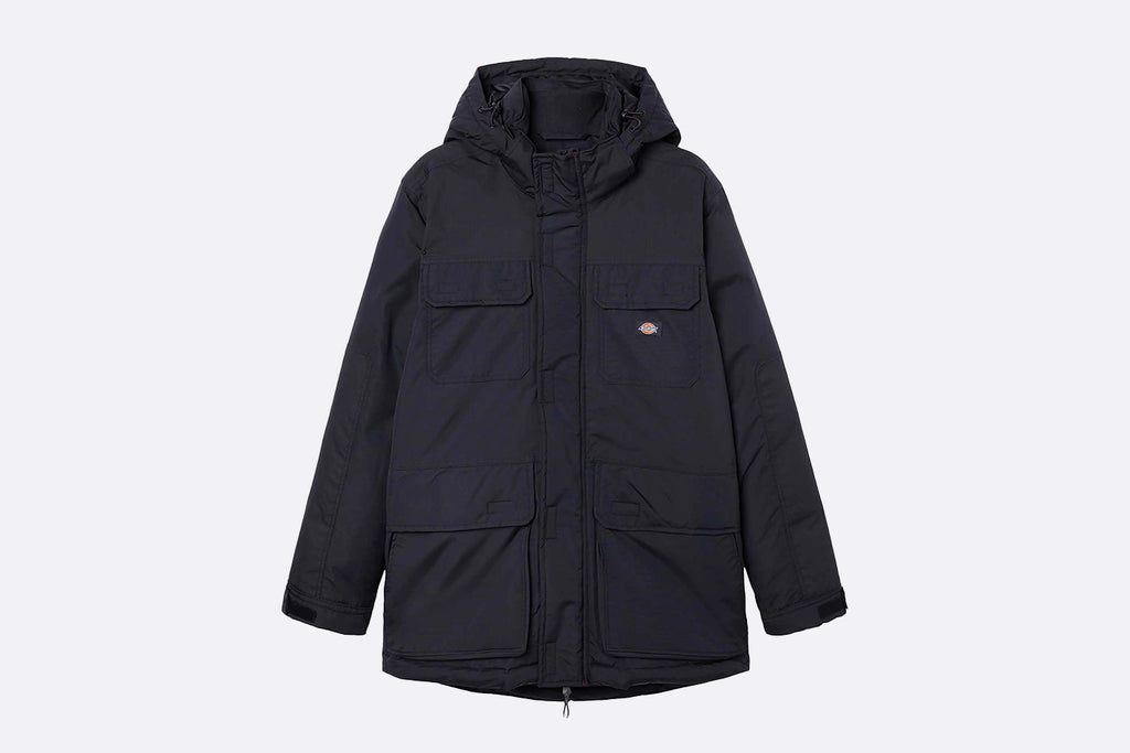 Dickies Glacier View Expedition Black