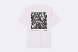 Lacoste Tee Shirt White