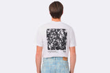 Lacoste Tee Shirt White