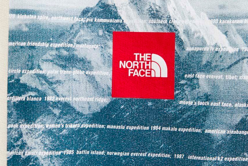 The North Face Expedition System Hoodie White Dune