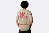 The North Face M Coordinates Tee Clay Grey