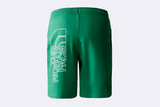 The North Face Graphic Short Green