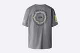 The North Face Nse Graphic Tee Smoked Pearl