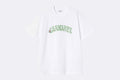 Camiseta Carhartt WIP Monogram T-shirt Blanco para hombre
