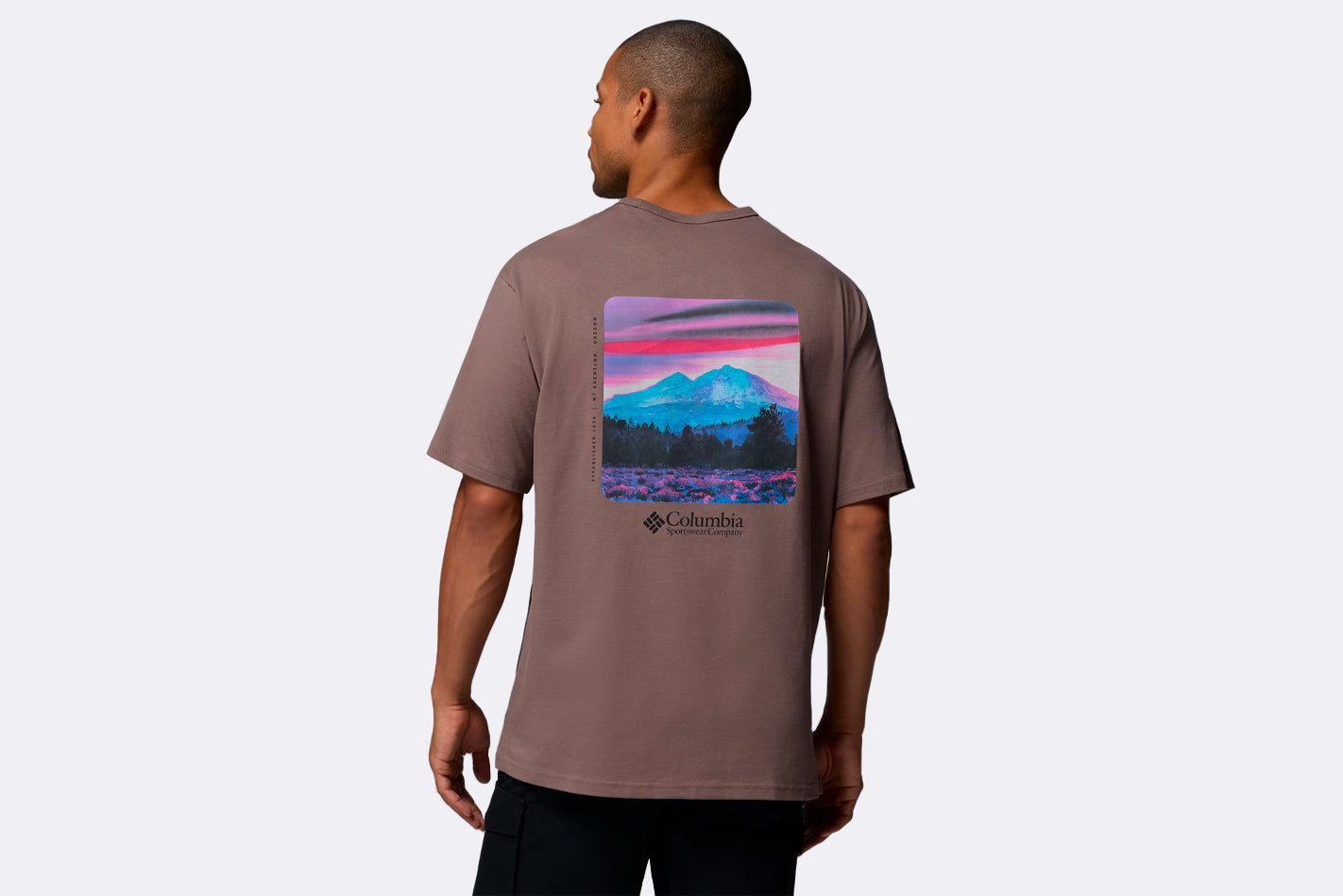 Camiseta Columbia CSC Heavyweight Back Graphic Tee Marron hombre