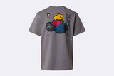 Camiseta The North Face BCD Celebration Relaxed Tee Gris para hombre