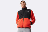 The North Face Denali 2 Jacket