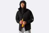 The Northface Retro Mountain Future Light