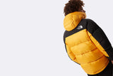 The North Face Himalayan down parka
