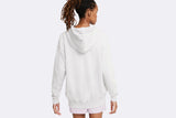 Nike Wmns Fleece Hoodie Platinum Tint