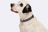 Carhartt WIP Script Dog Leash & Collar