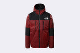 The North Face Himalayan Light Synth Hoodie