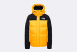 The North Face Himalayan down parka